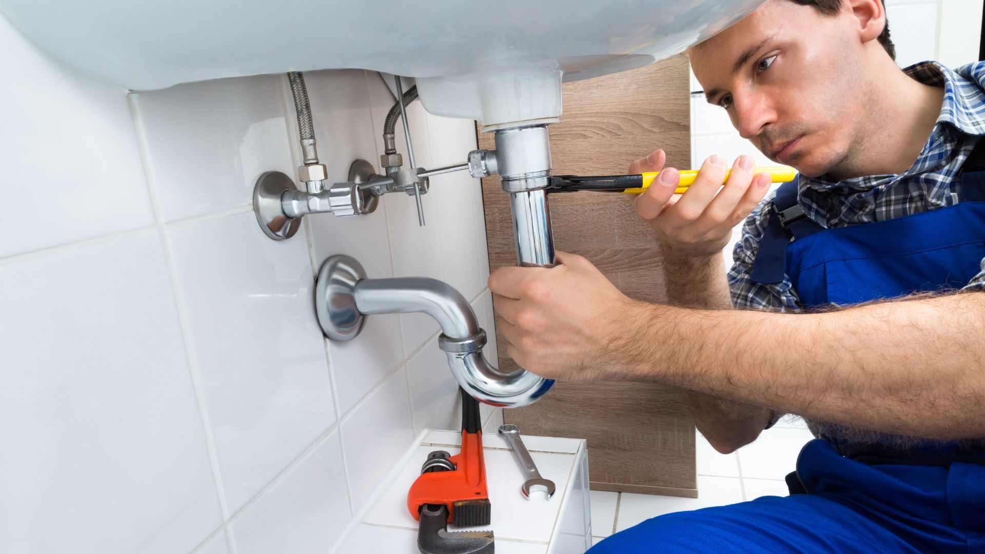 Plumber Contributions